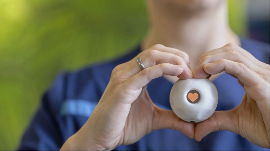 PALL0 displaying a heart while held in two hands